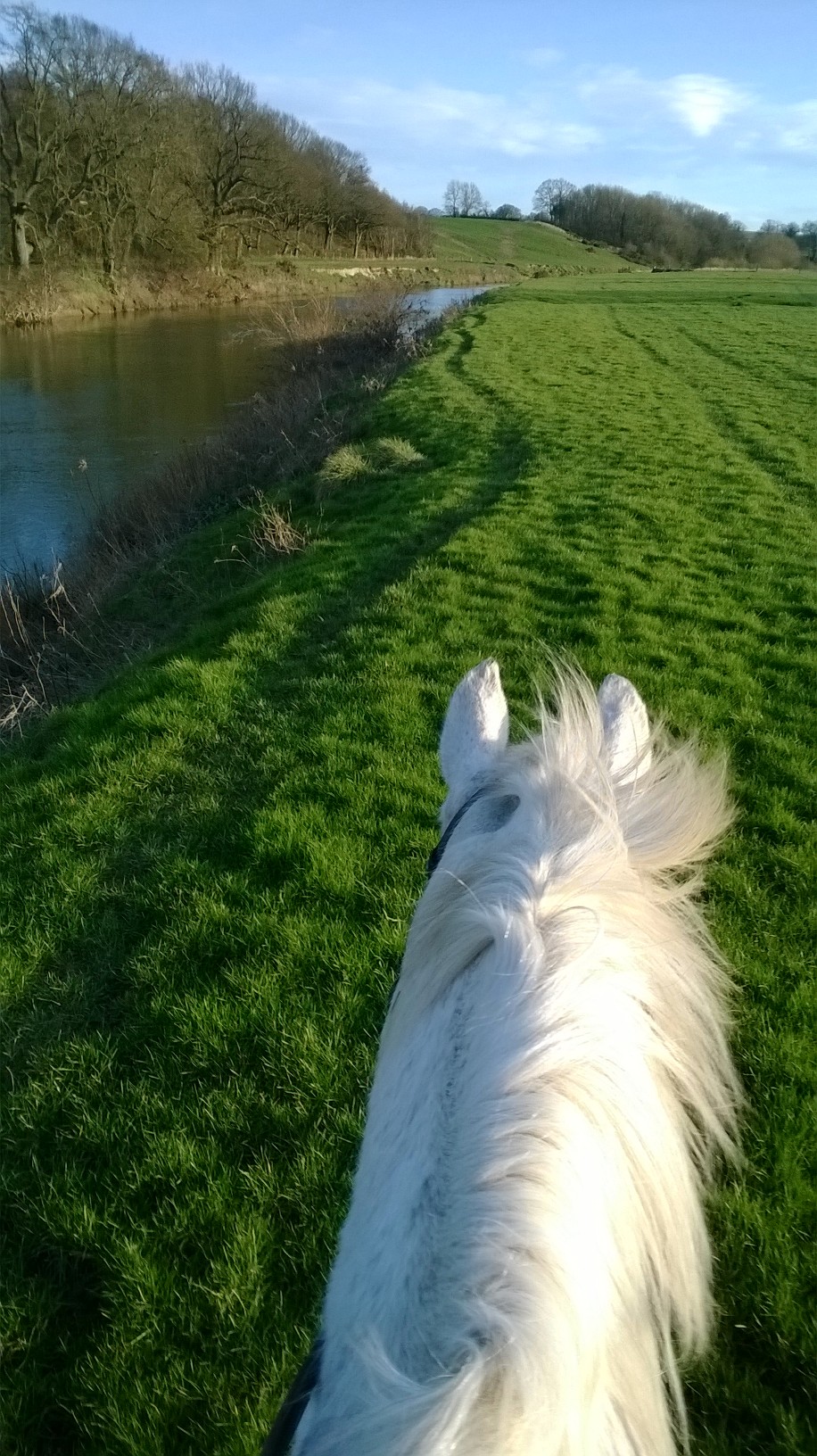 New Private Riding Holiday